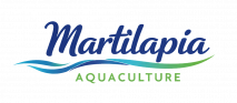 logo martilipia copy
